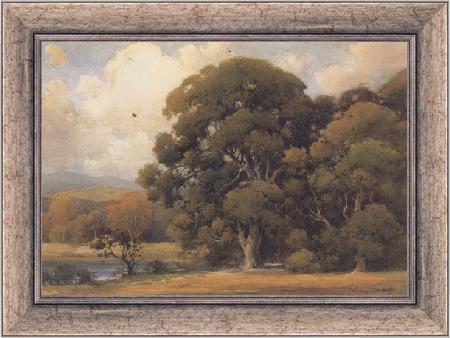 framed  unknow artist Large Oak, Ta3071-1